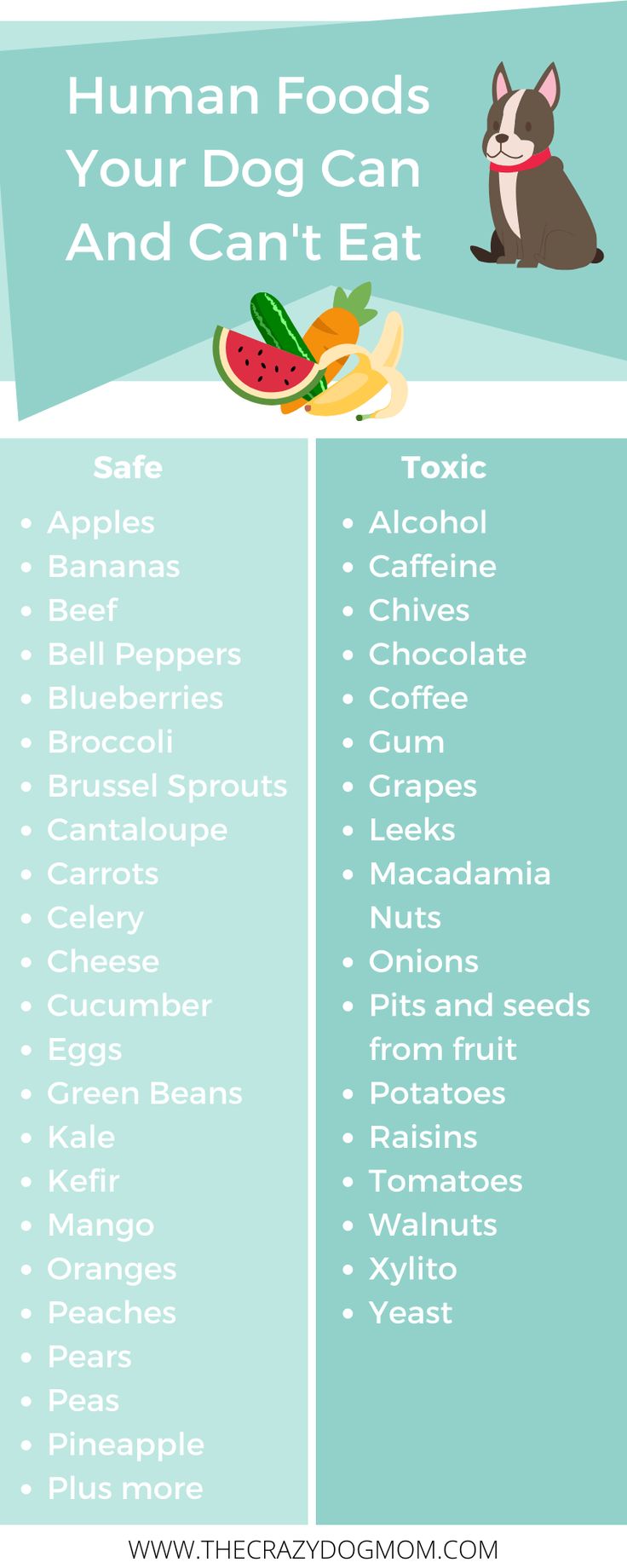 a poster with the words, human foods your dog can and can't eat