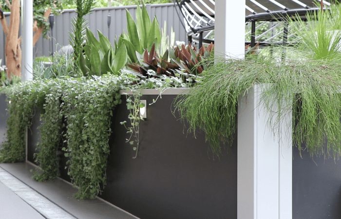 some plants are growing on the side of a building