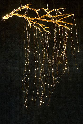 some lights hanging from a tree in the dark