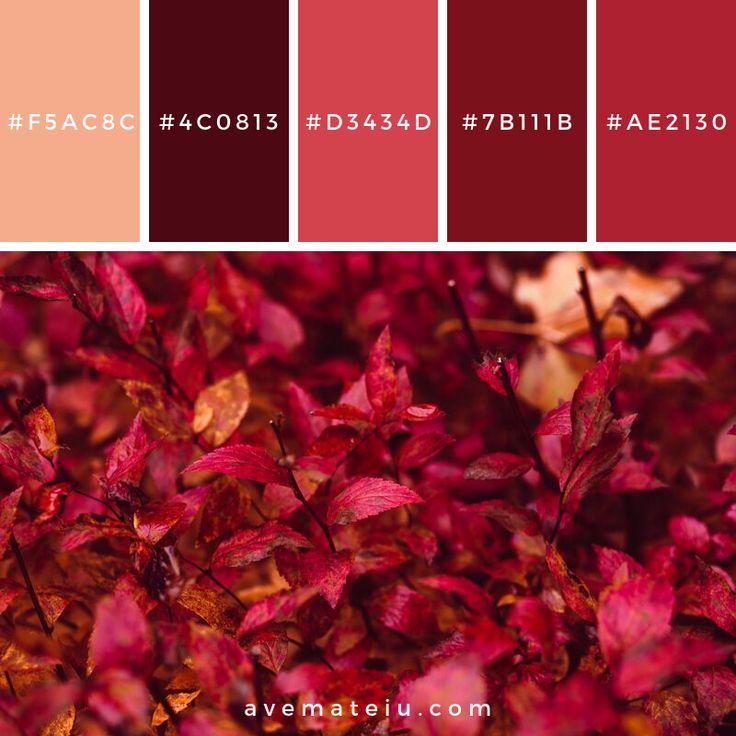 the color scheme is red, pink and orange with some green leaves on it's branches