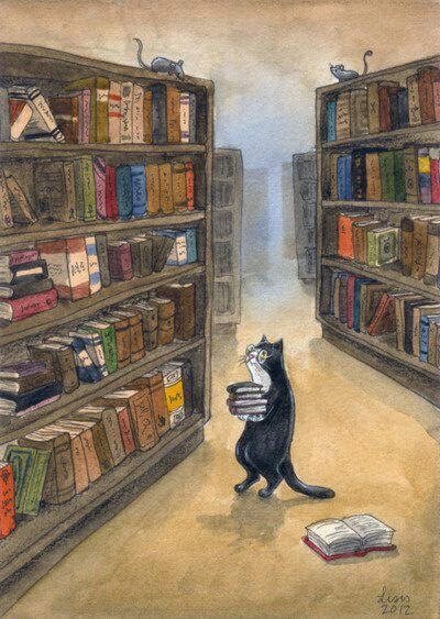 a black cat standing in front of a book shelf filled with books