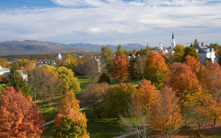 an aerial view of a town surrounded by trees with fall foliage in the foreground