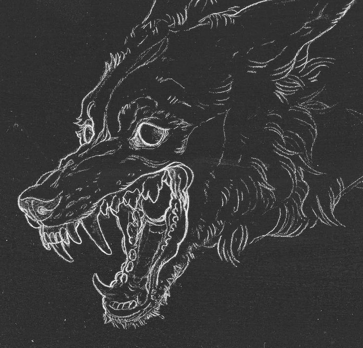 a black and white drawing of a dog's head with its mouth wide open