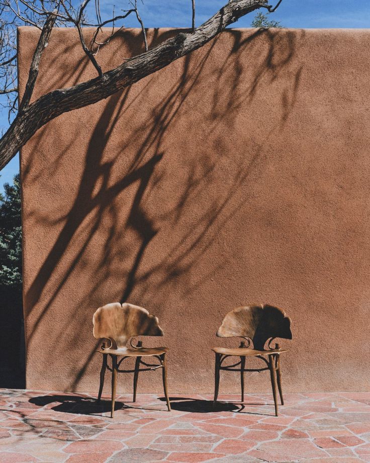 two dogs are sitting on chairs in front of a wall with a tree casting a shadow