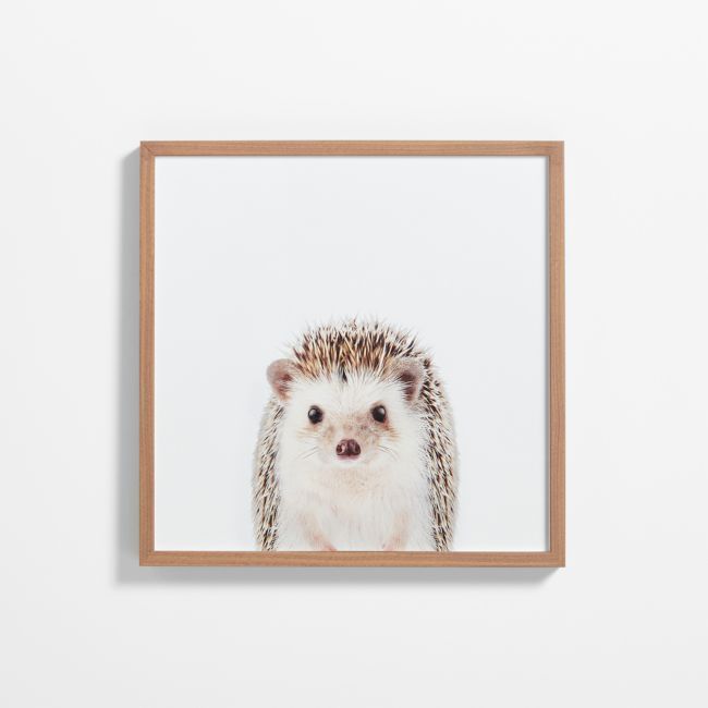 a hedgehog framed in wood on a white wall