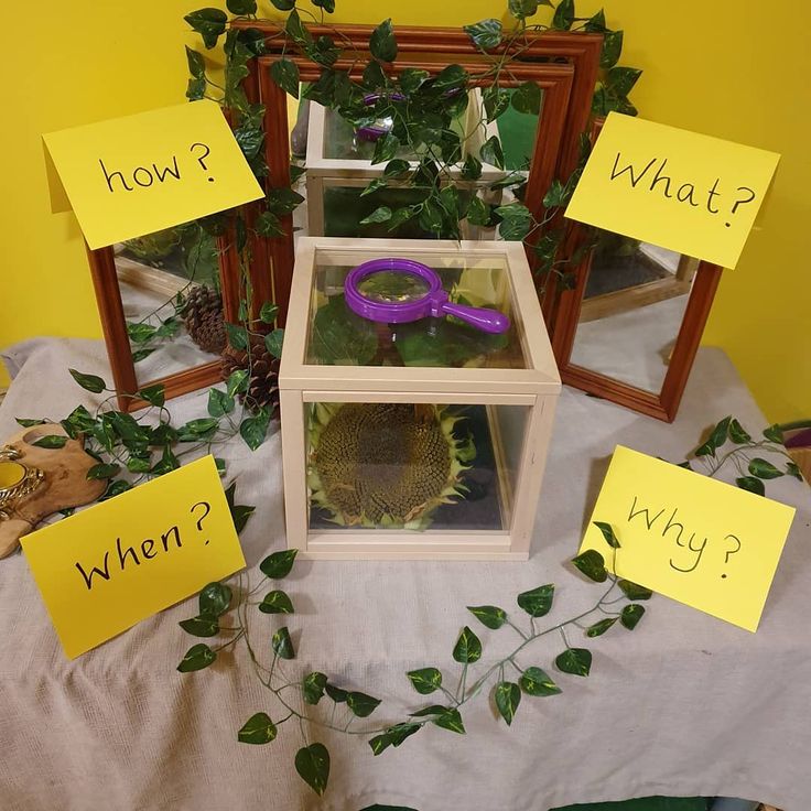 a display case filled with plants and writing on yellow paper that says, how?