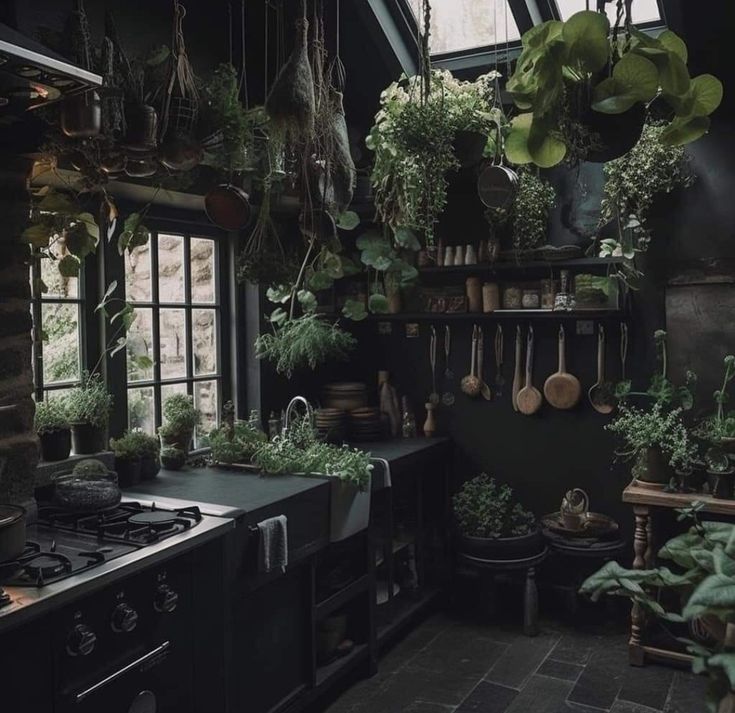 a kitchen filled with lots of potted plants and cooking utensils hanging from the ceiling