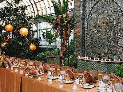 a long table is set up with plates and glasses for an elegant dinner in a greenhouse