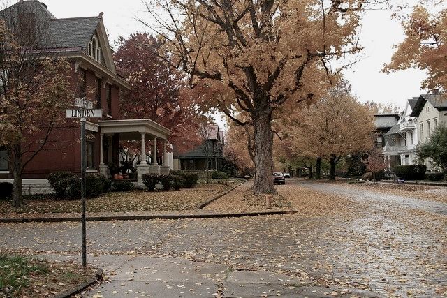 an empty street with leaves on the ground and houses in the backgrouds