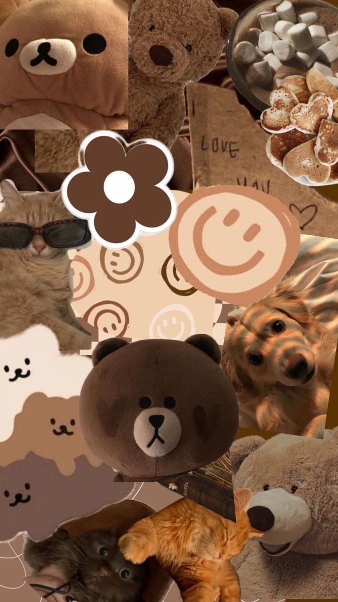 a collage of teddy bears, cats and other things to see on the screen