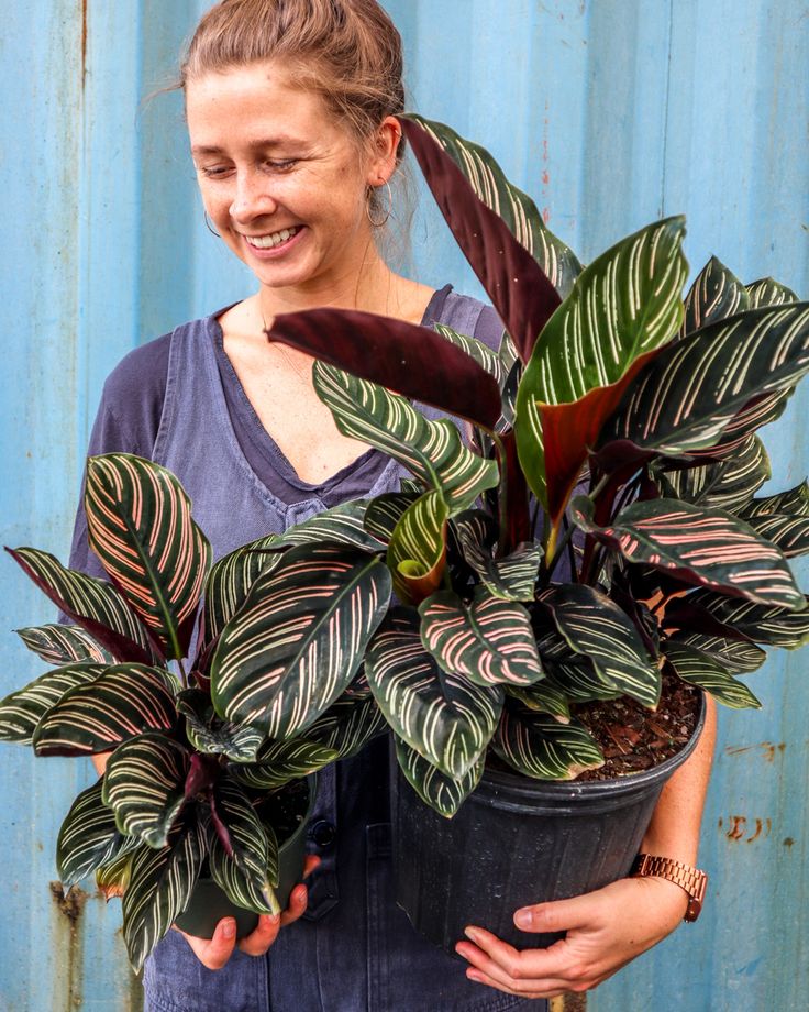 a woman holding a potted plant in front of a blue metal wall and smiling at the camera