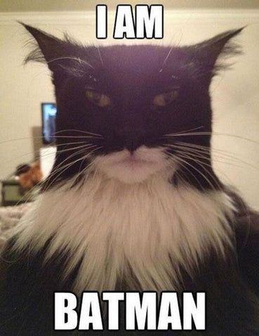 a black and white cat with a mustache on it's face that says i am batman