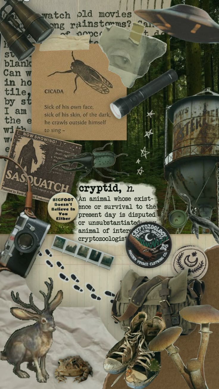 an altered collage of various items and things in the woods, including mushrooms, deer, bird, etc