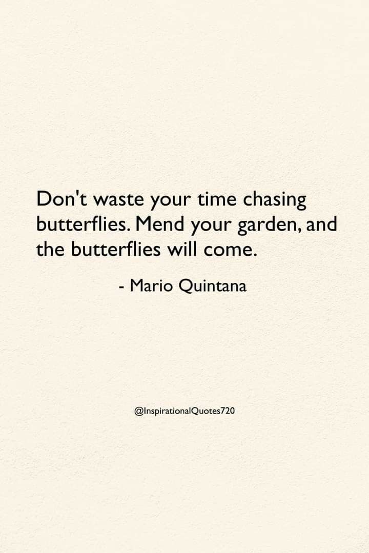 a quote that says don't waste your time chasing butterflies mind your garden, and the butterflies will come