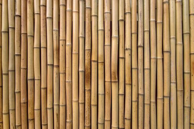 an image of a bamboo fence that looks like it is made out of wood