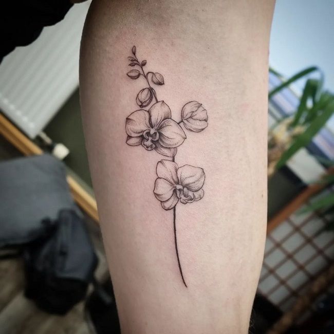 a black and white photo of a flower on the right thigh, with an outline of flowers in the lower leg