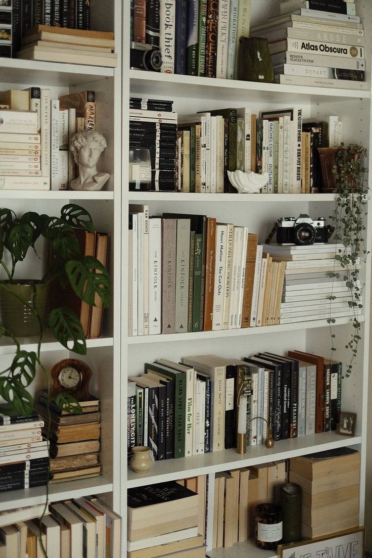 a bookshelf filled with lots of books and plants