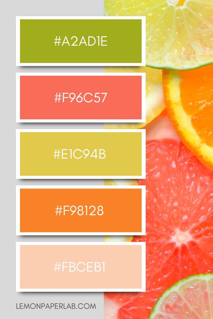 an orange, lemon, grapefruit, and grapefruit are featured in this color scheme