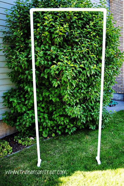 a white pole in the grass next to a bush