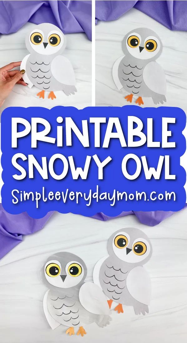 the printable snow owl craft is shown with instructions to make it look like an owl