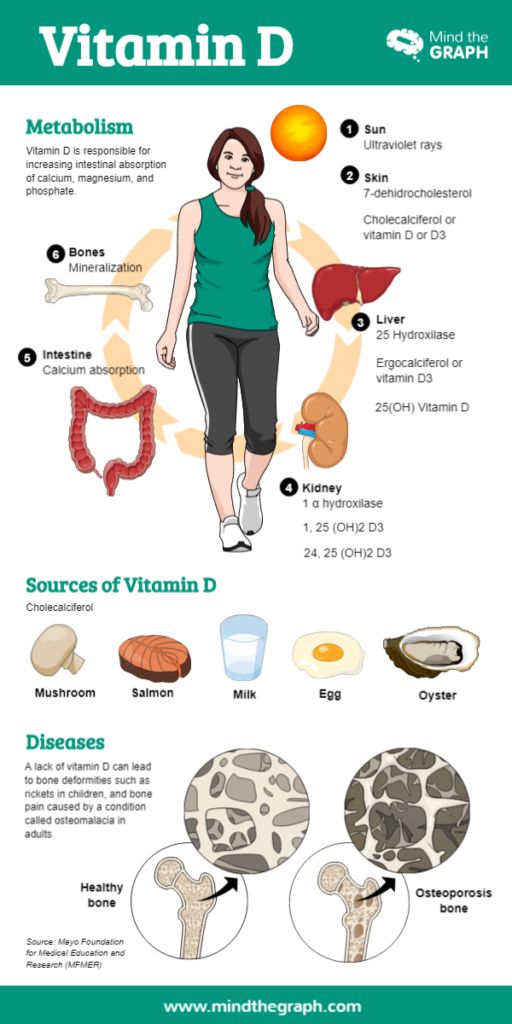 Types Of Vitamins, Resep Diet Sehat, Food Health Benefits, Magnesium Benefits, Vitamin D Deficiency, Resep Diet, Health And Fitness Articles, Health Knowledge, Vitamin B12