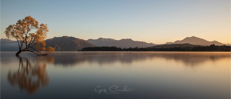 a lone tree sits in the middle of a lake at sunset with mountains in the background