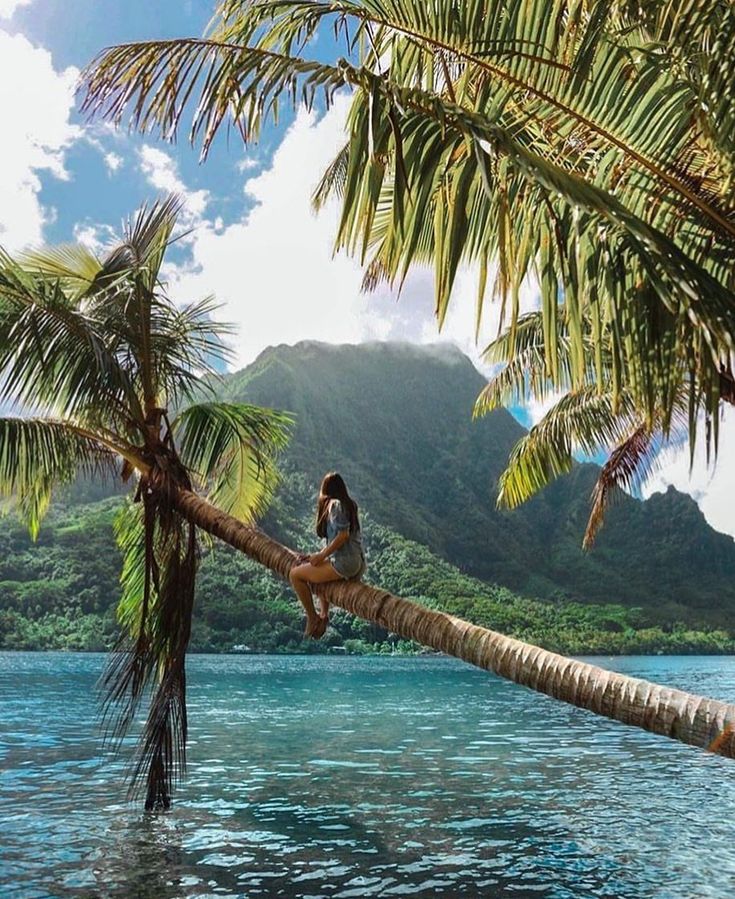 a woman sitting on top of a palm tree next to the ocean with mountains in the background