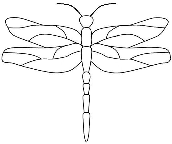 a drawing of a dragonfly on a white background