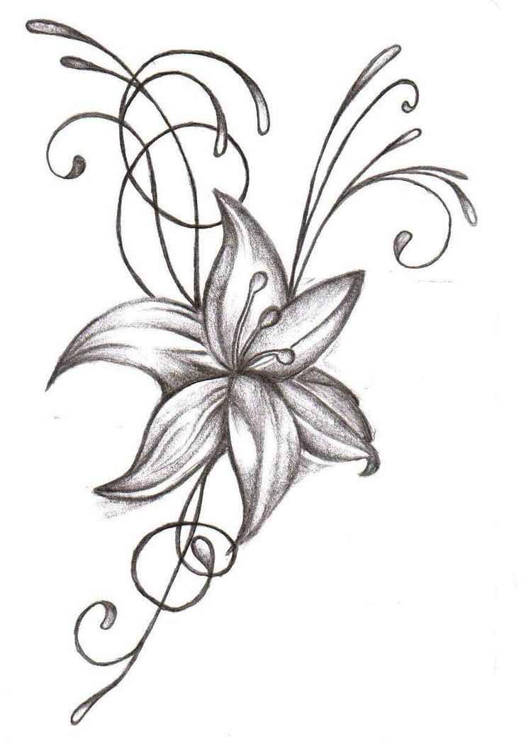 a black and white drawing of a flower