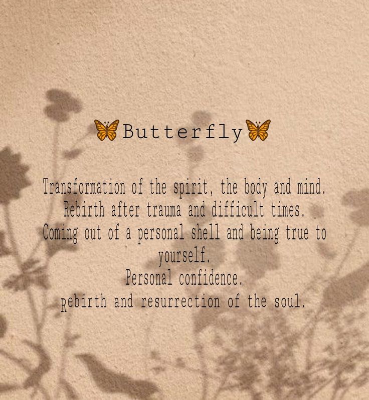 the shadow of a plant and butterfly on a wall with a quote written in it