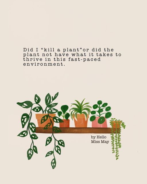 some plants are sitting on a shelf with a quote