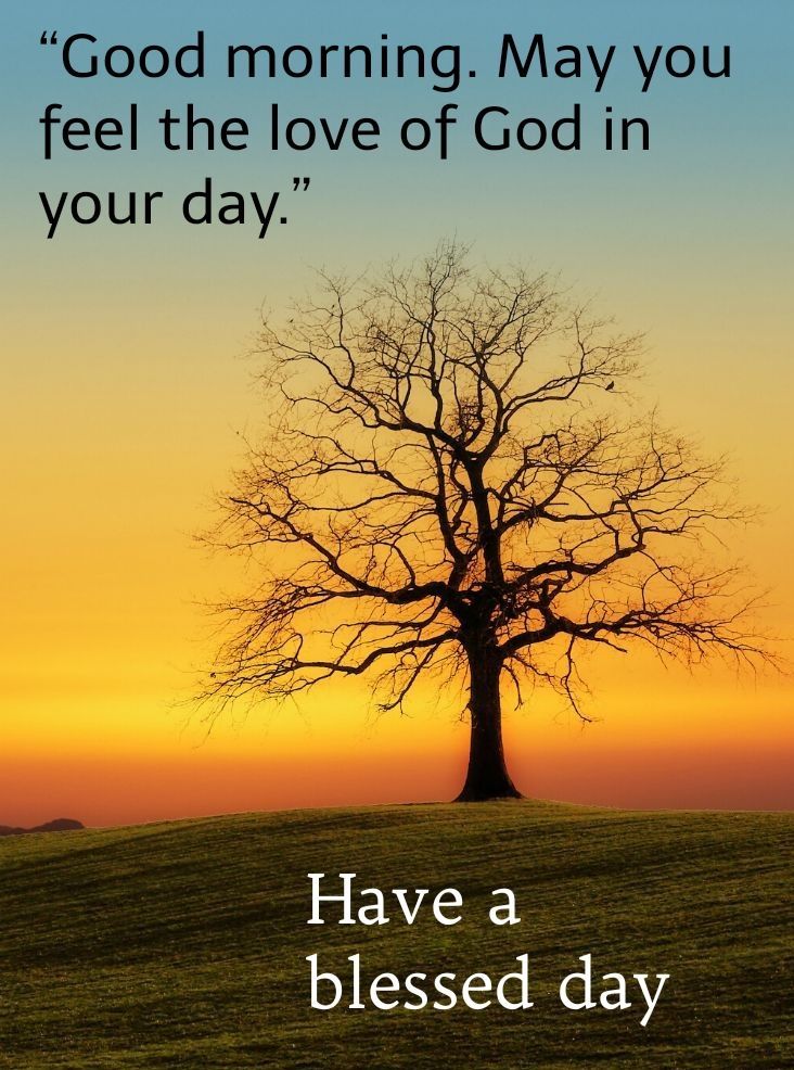 a tree on top of a hill with the words have a blessed day written below it