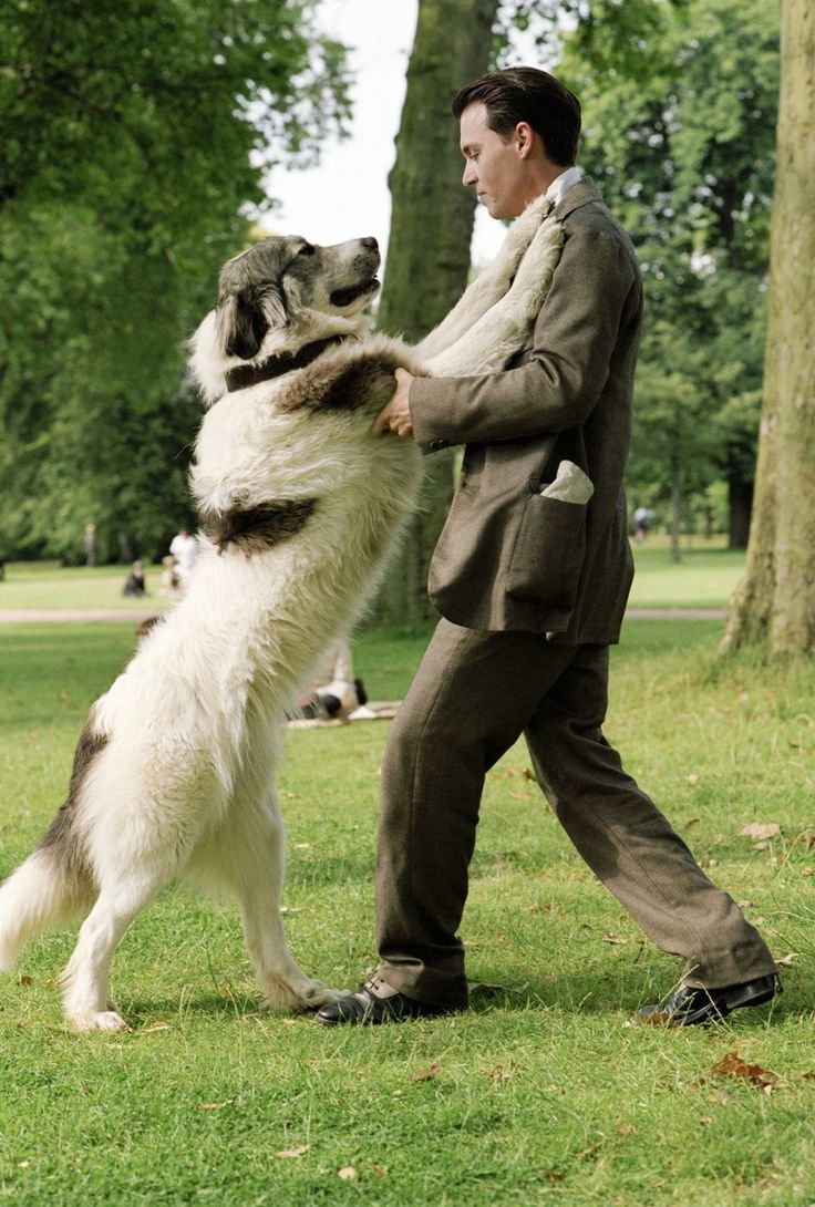 a man is playing with his dog in the park