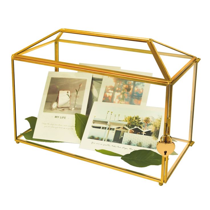 a gold frame with photos and leaves in it