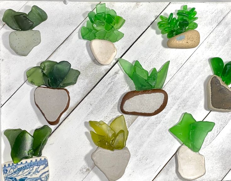 several different types of rocks and plants on a table