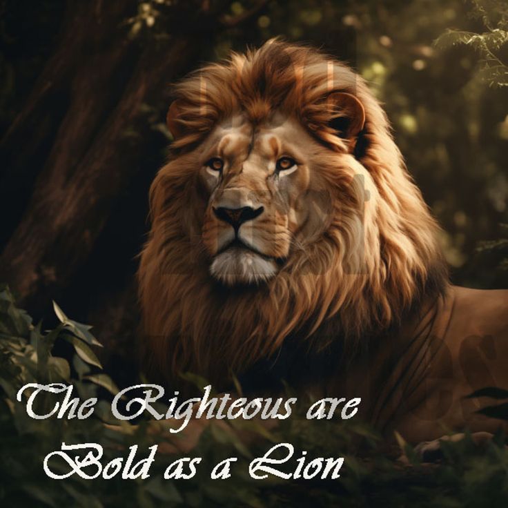 the righteous are bold as a lion