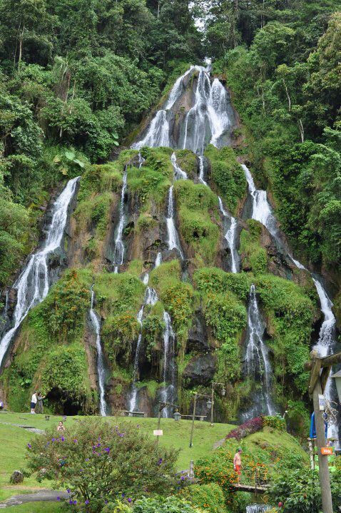 a large waterfall in the middle of a lush green forest