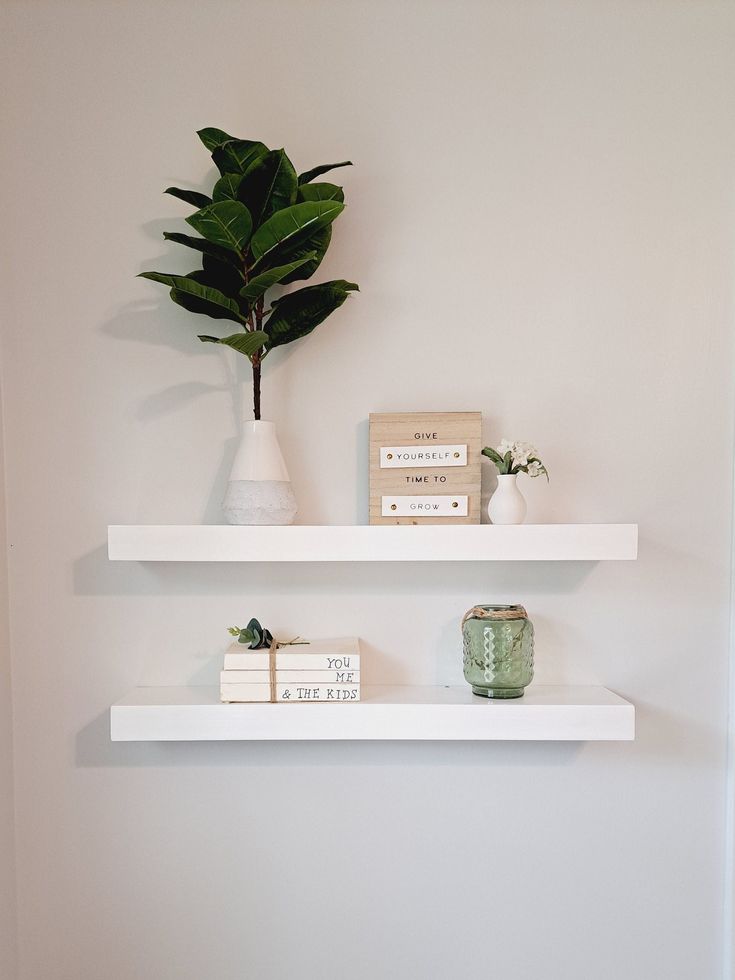 two white shelves with books and a potted plant on one shelf next to each other