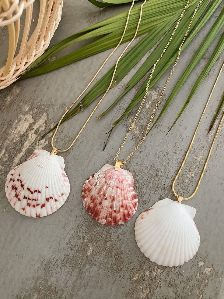 three seashells on a table with palm leaves