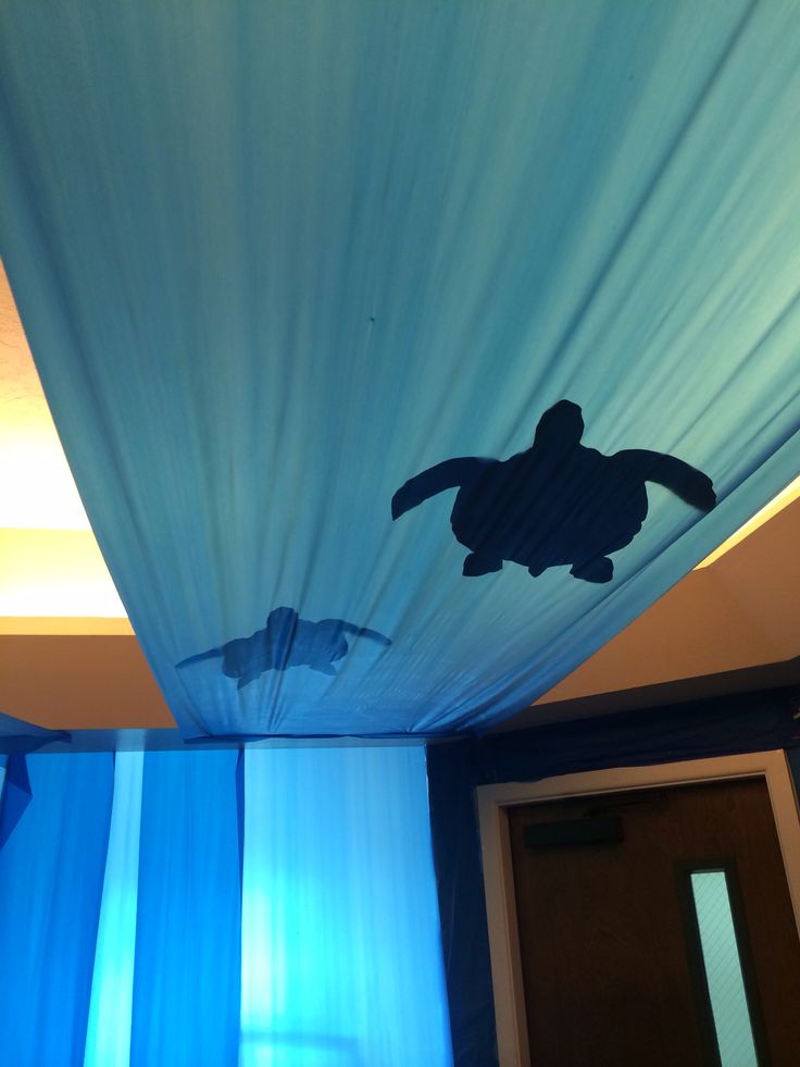 an image of a sea turtle on the ceiling in a room with blue drapes