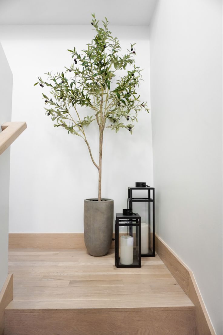 a small tree in a vase next to two lanterns and a candle on the floor