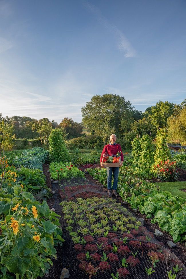 a man standing in the middle of a garden