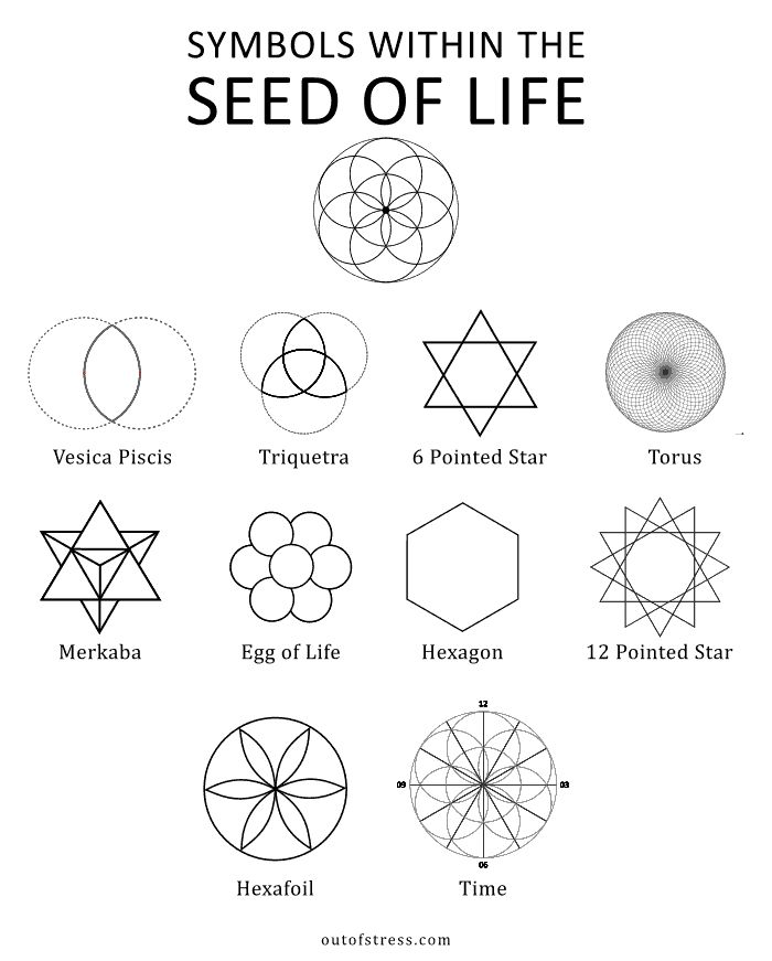 symbols with the seed of life written in black and white, including four different shapes