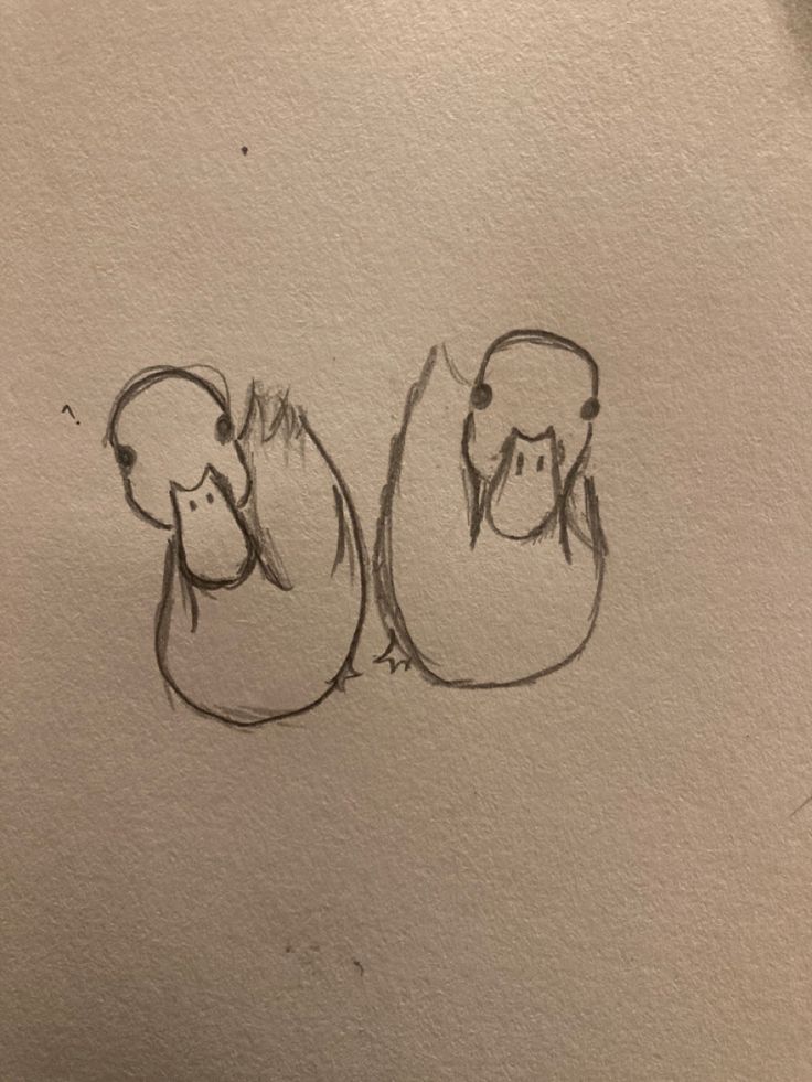 a drawing of two bears with the letter u in it