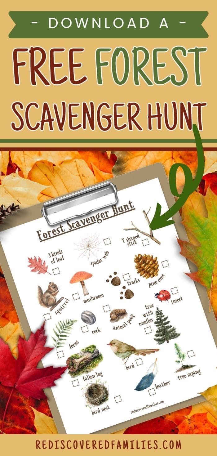 the free forest scavenger hunt is an easy way to help kids learn how to use