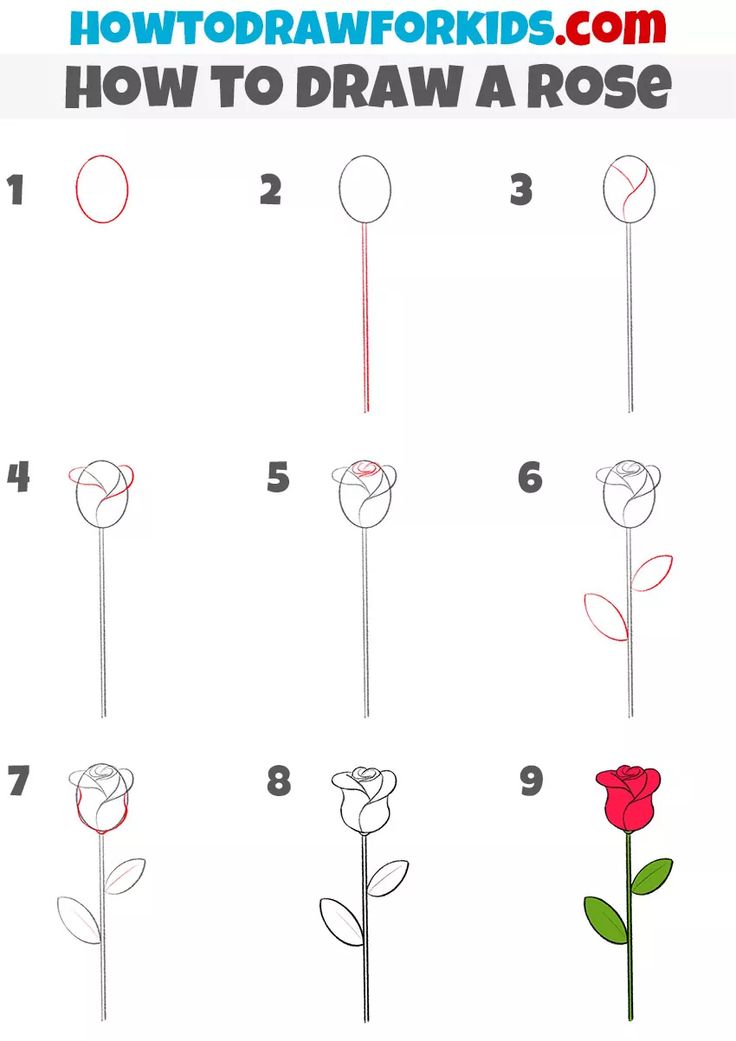 how to draw a rose step by step instructions for kids and beginners with pictures