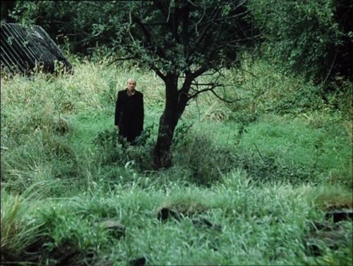 a man standing in the grass next to a tree