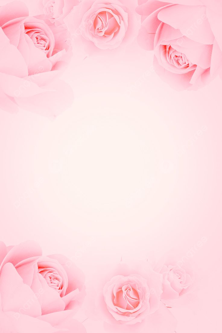 pink roses are arranged in the shape of a circle on a white background with space for text