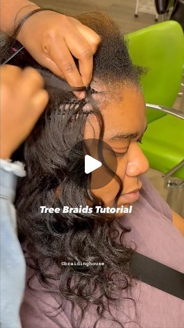 Braids And Box Braids Hairstyles, 2 Tone Braids For Black Hair, Free Tress Braids Hairstyles, Individual Braid Styles For Black Women, Latest Braids 2024, Braided Roots Curly Ends, Individual Tree Braids Hairstyles, Tree Braids Hairstyles Crochet, Interlock Braids Hairstyles