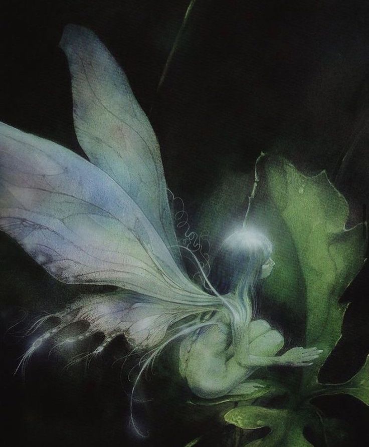 a painting of a fairy with wings and flowers